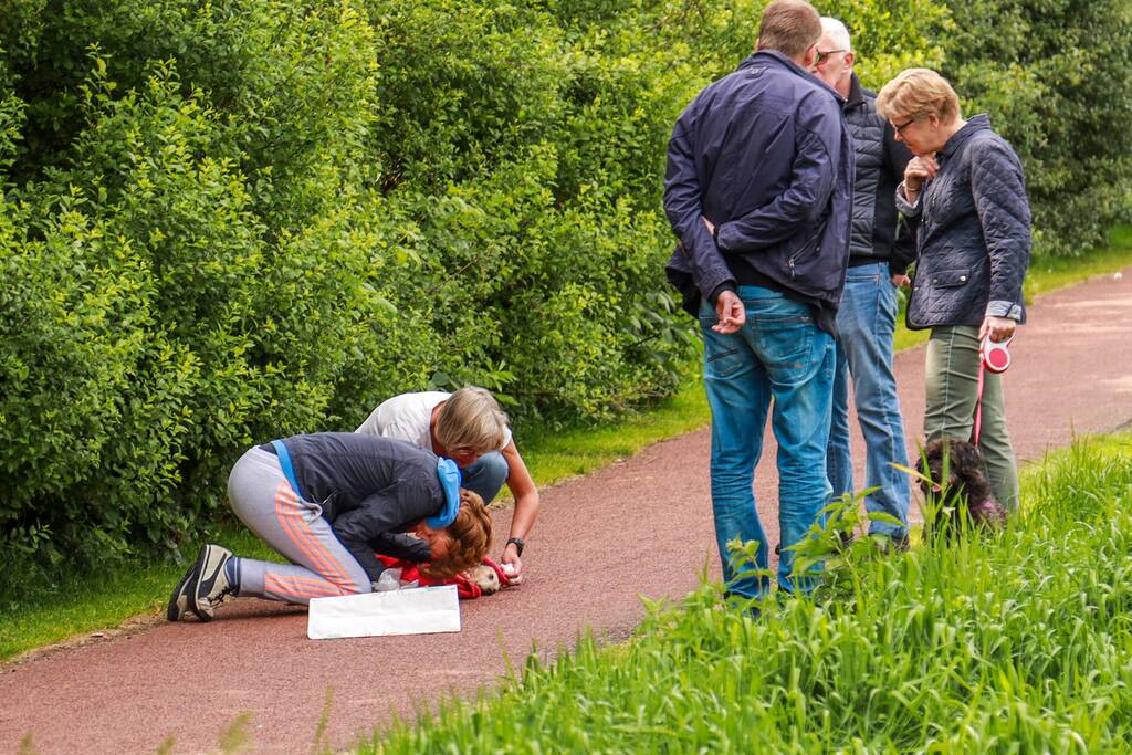 Hondje aangevallen door uitgebroken herder