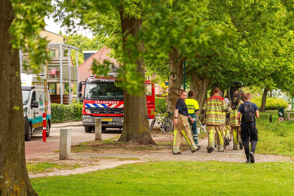 Eend met gebroken poot vlucht