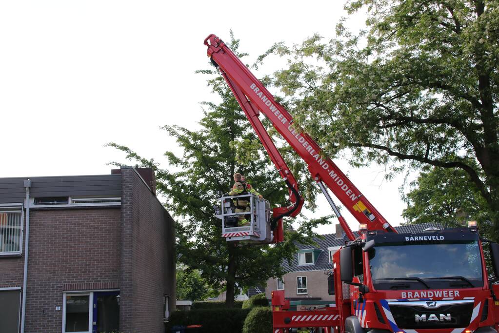 Poes wordt gewekt door de brandweer en vlucht het dak op