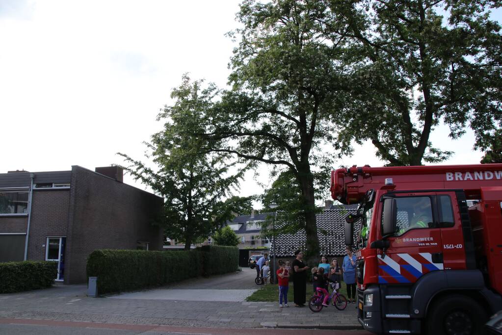 Poes wordt gewekt door de brandweer en vlucht het dak op