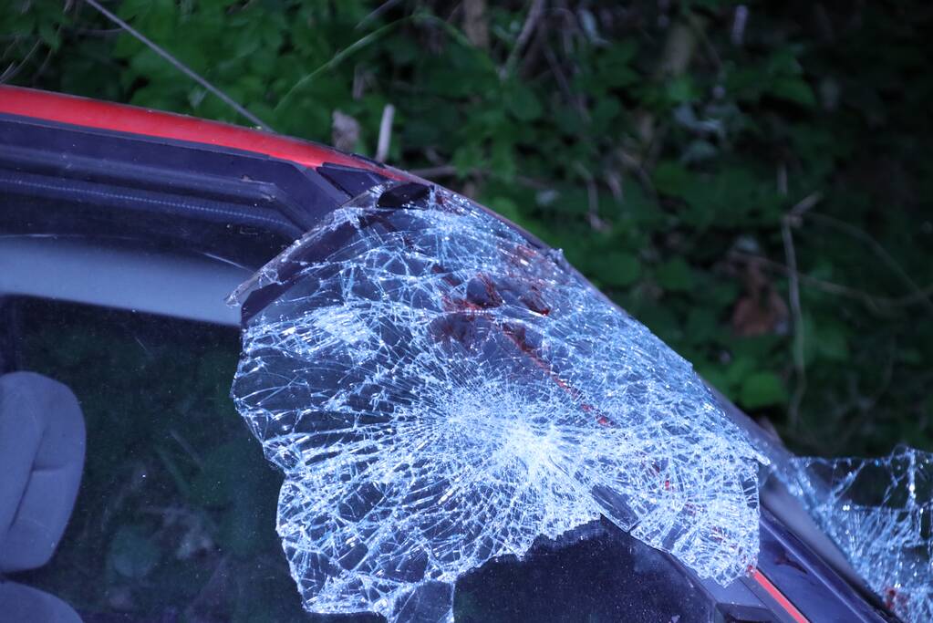 Gewonde bestuurder vlucht na crash