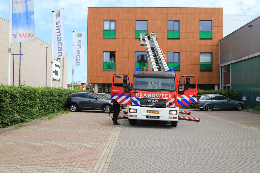 Vogel vliegt tegen raam en zit vast