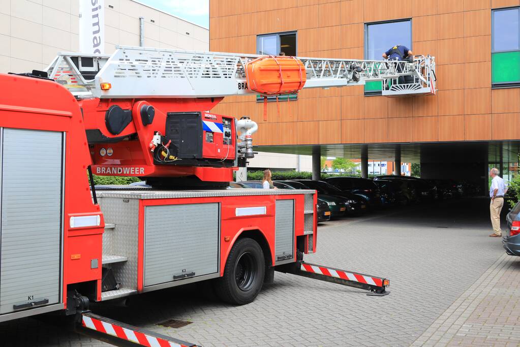 Vogel vliegt tegen raam en zit vast