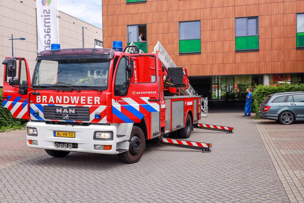 Vogel vliegt tegen raam en zit vast