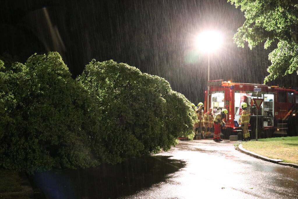 Veel stormschades in midden Nederland