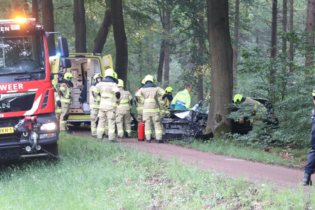 Auto botst op boom