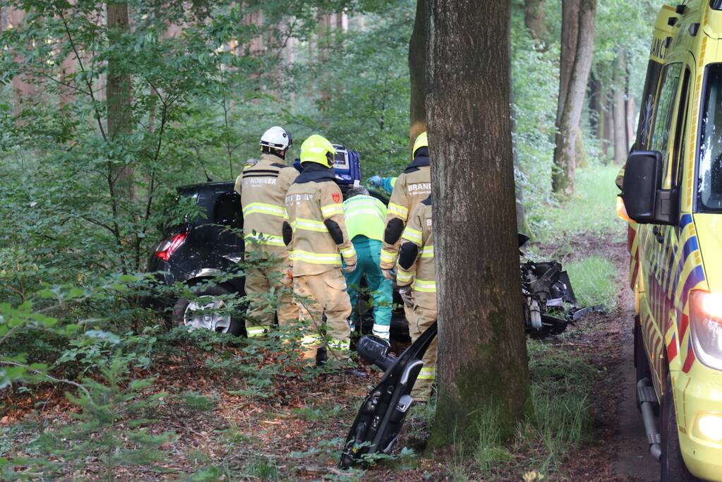 Auto botst op boom