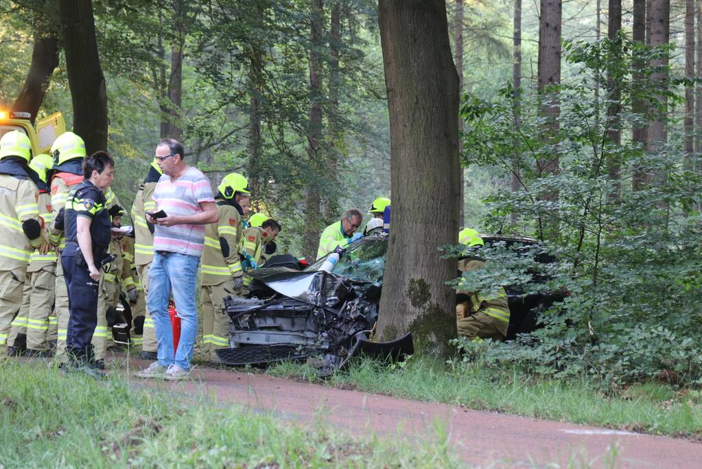 Auto botst op boom