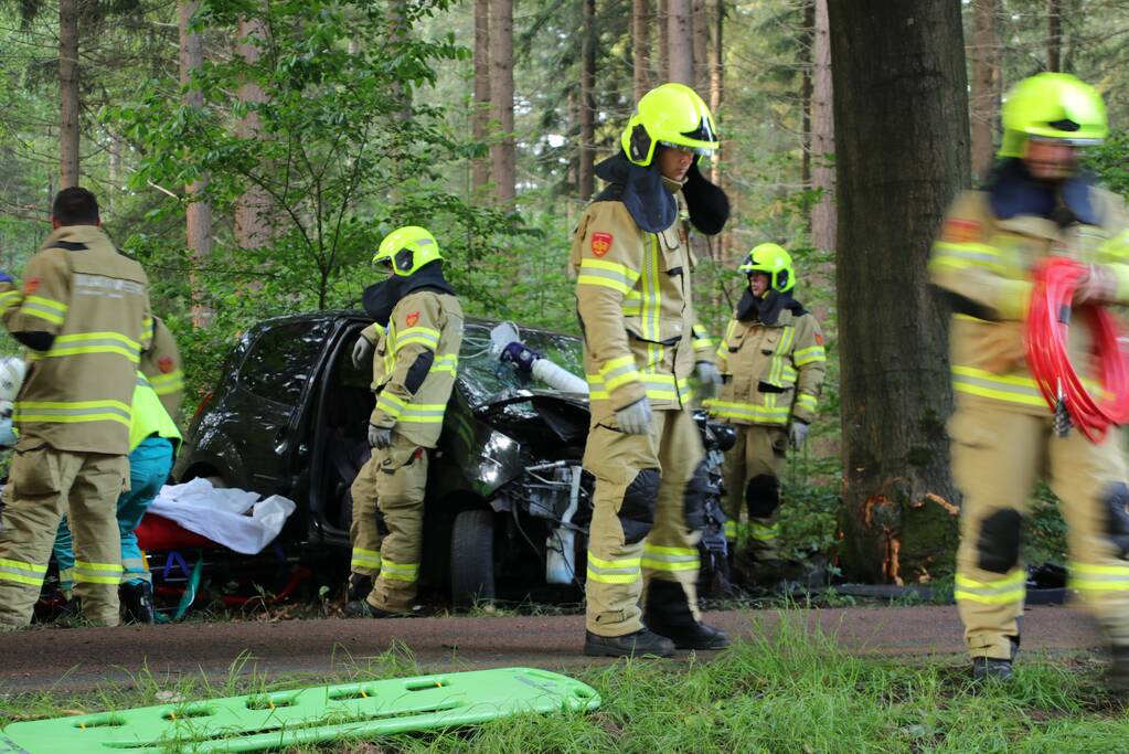 Auto botst op boom