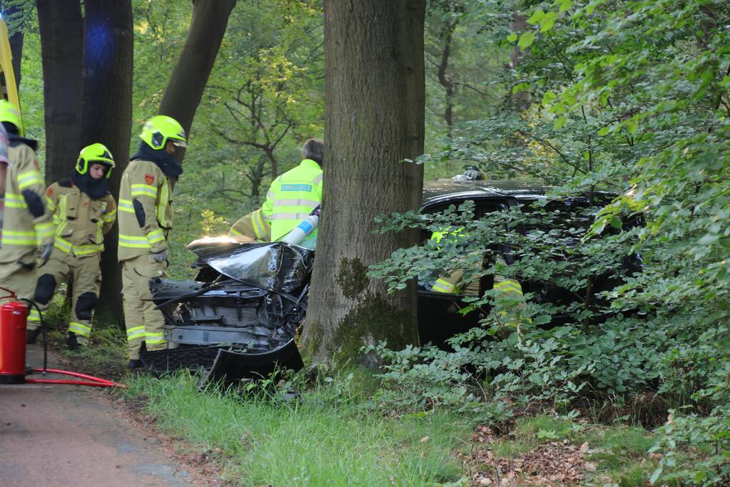 Auto botst op boom