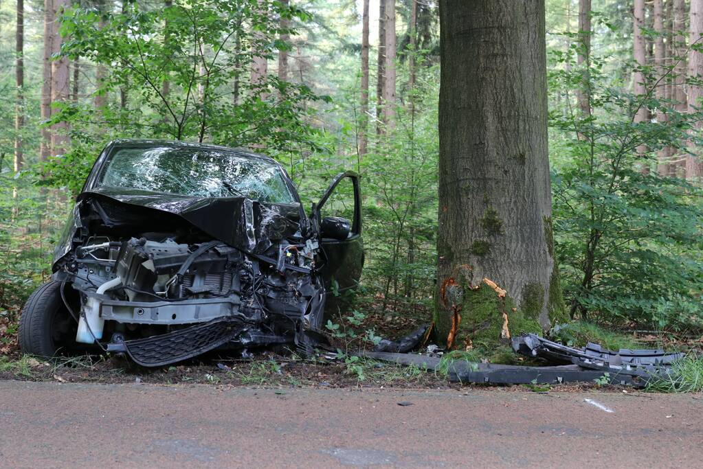 Auto botst op boom