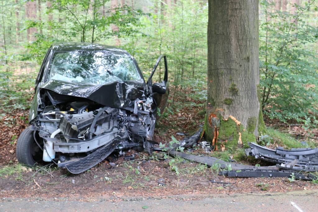 Auto botst op boom