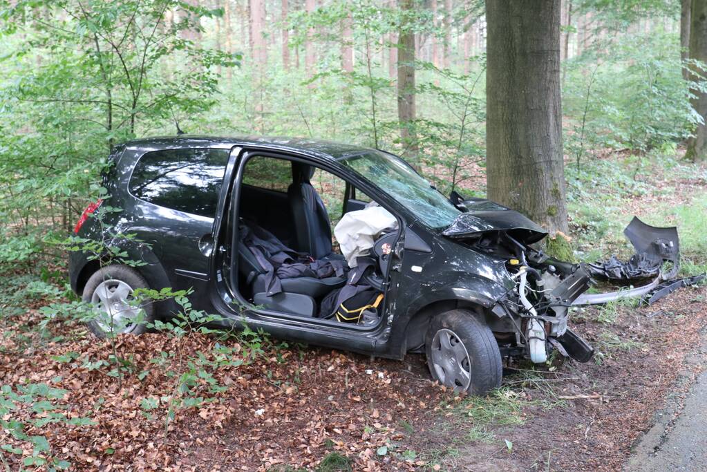 Auto botst op boom