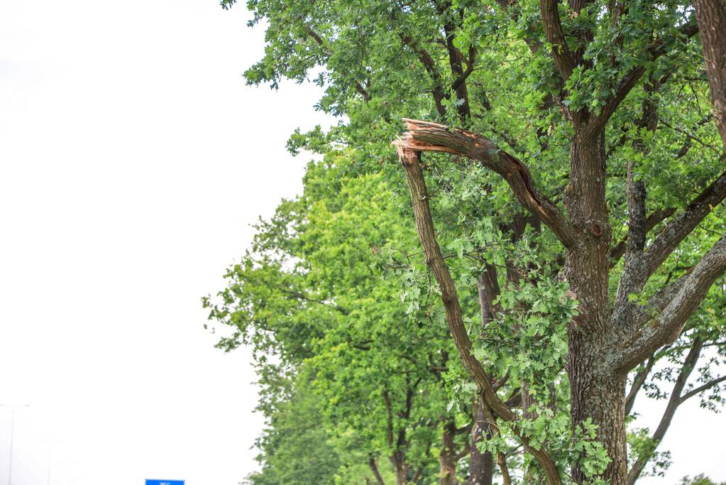 Flinke tak boven fietspad breekt af