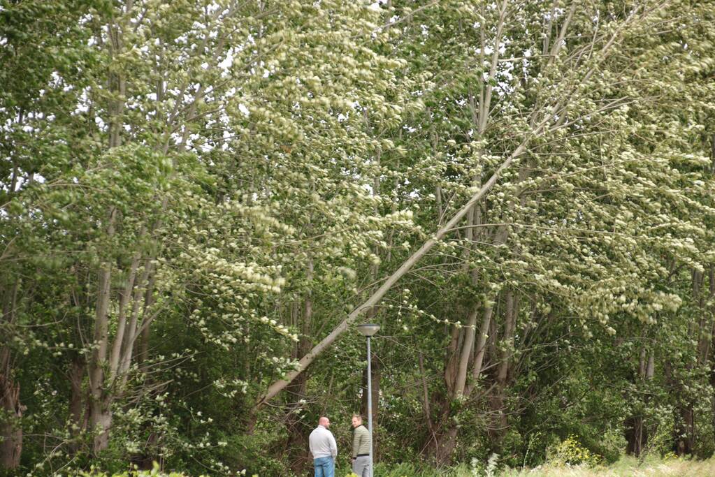 Afgesloten fietspad vanwege afgescheurde boom