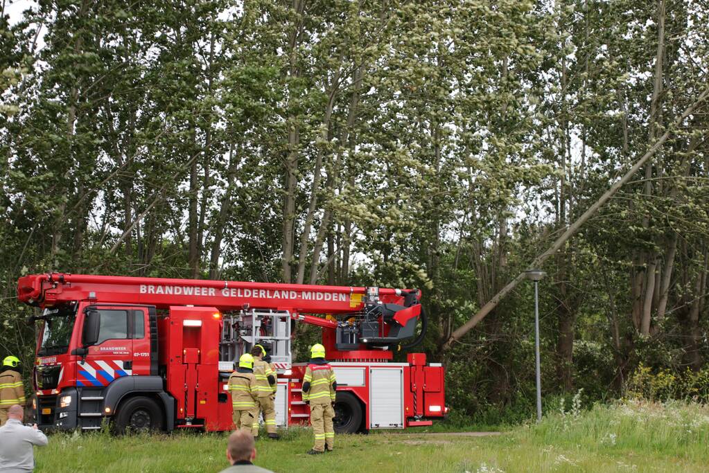 Afgesloten fietspad vanwege afgescheurde boom