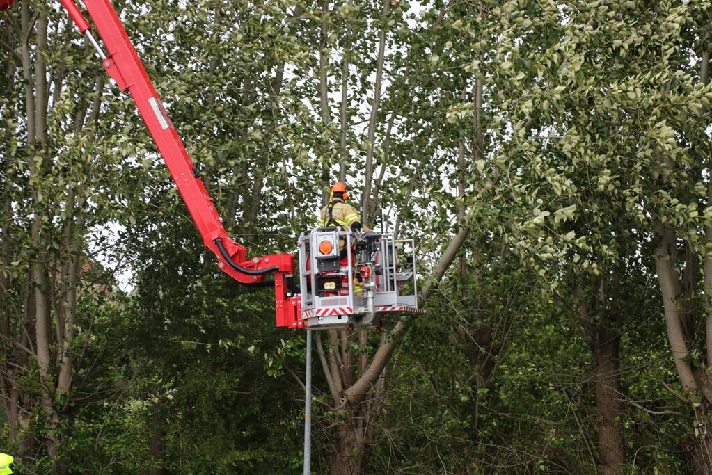 Afgesloten fietspad vanwege afgescheurde boom