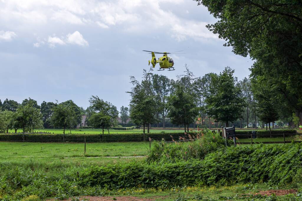 Persoon ernstig gewond bij snoeiwerkzaamheden