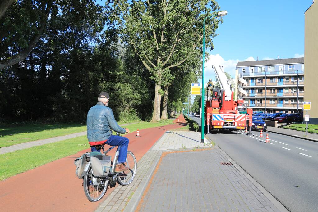 Meerdere levensgevaarlijk takken verwijderd