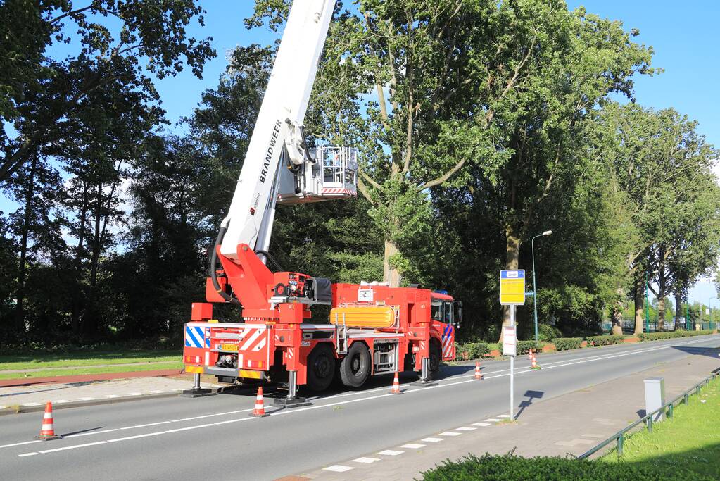 Meerdere levensgevaarlijk takken verwijderd