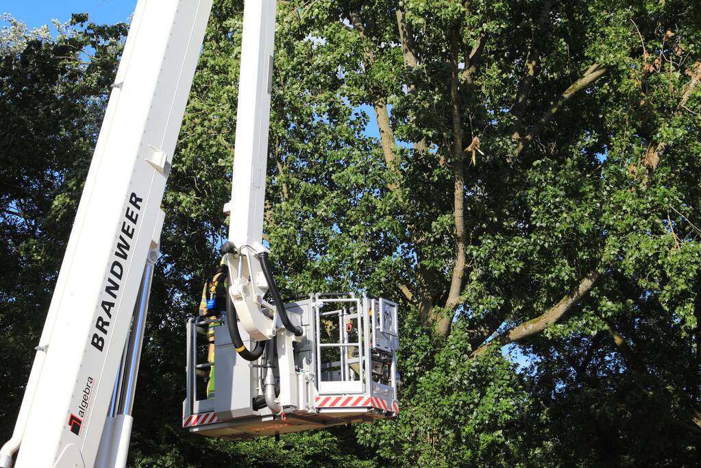 Meerdere levensgevaarlijk takken verwijderd