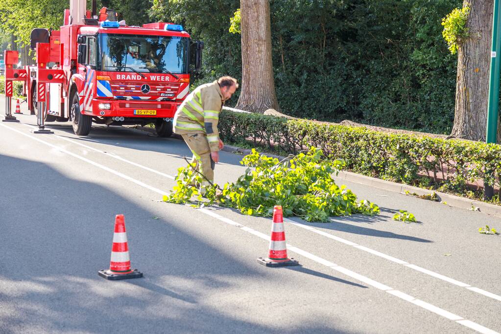 Meerdere levensgevaarlijk takken verwijderd