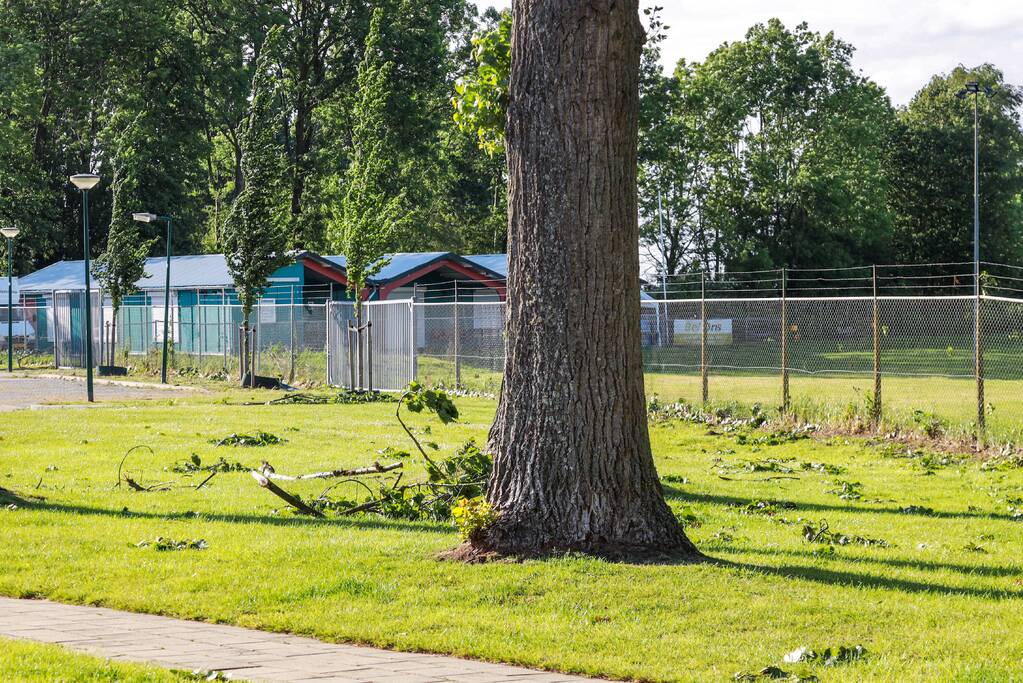 Meerdere levensgevaarlijk takken verwijderd