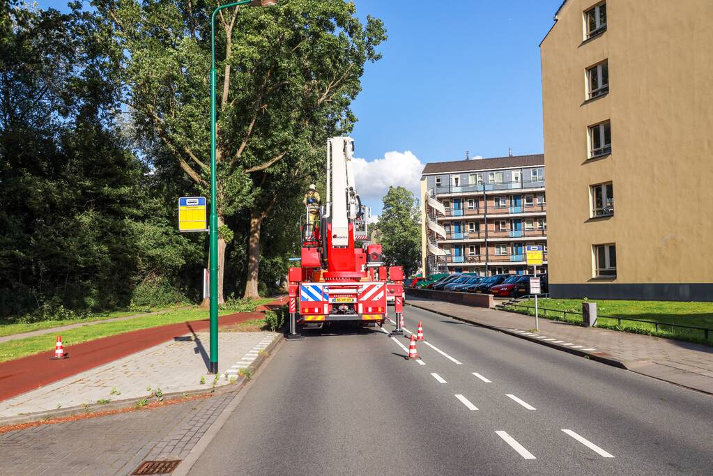 Meerdere levensgevaarlijk takken verwijderd