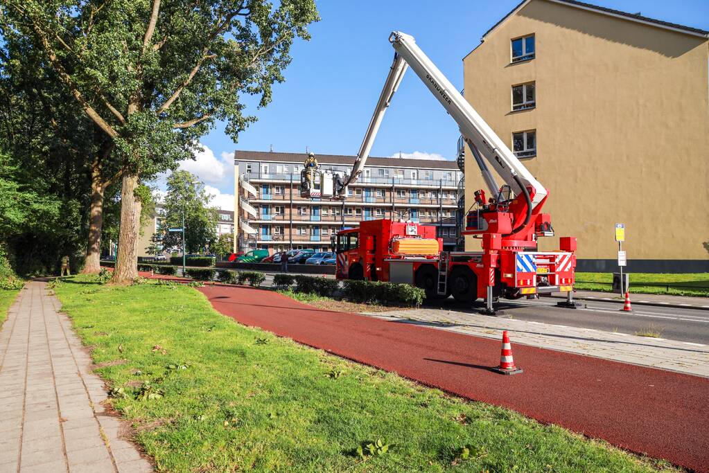 Meerdere levensgevaarlijk takken verwijderd