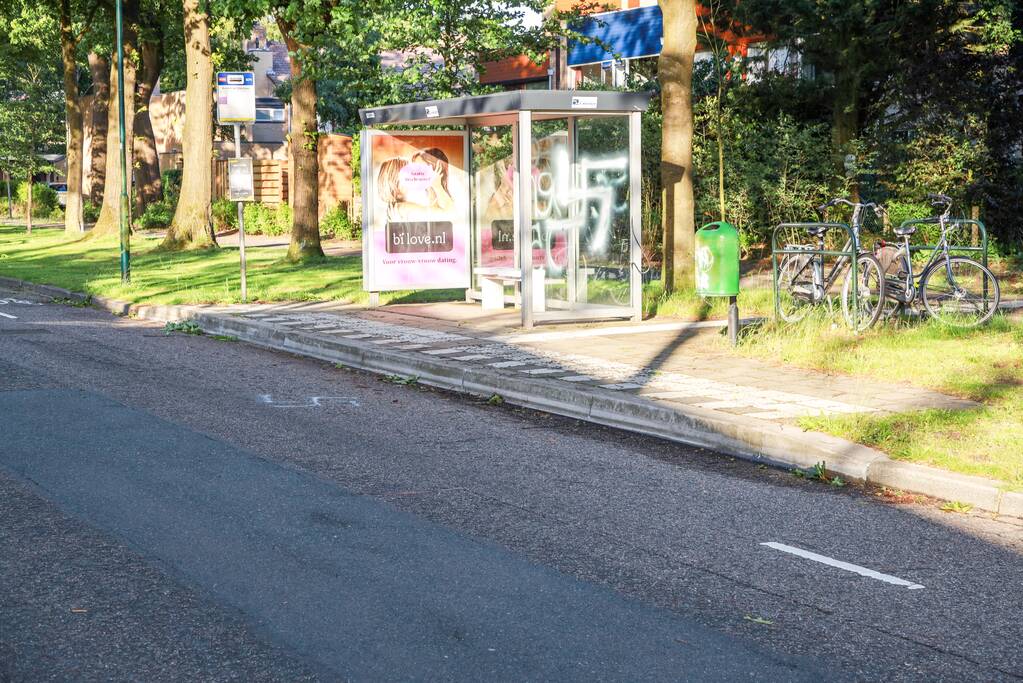 Bushokje beklad met hakenkruis