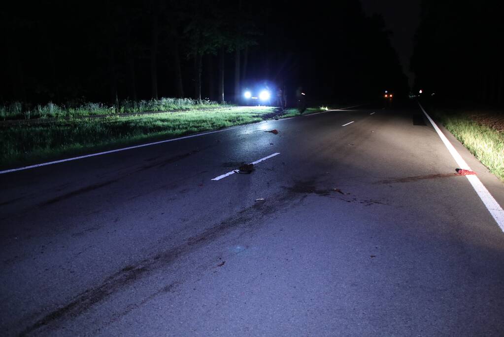 Overstekend zwijn overleden na aanrijding