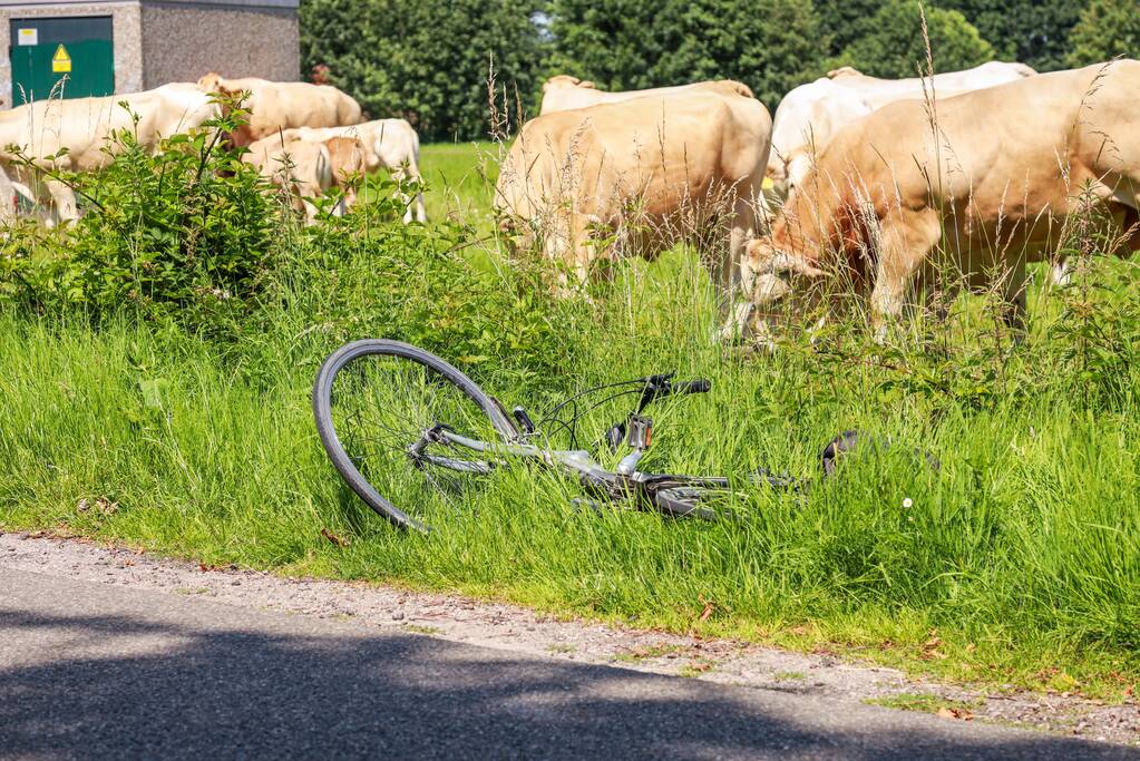 Fietsster ernstig gewond