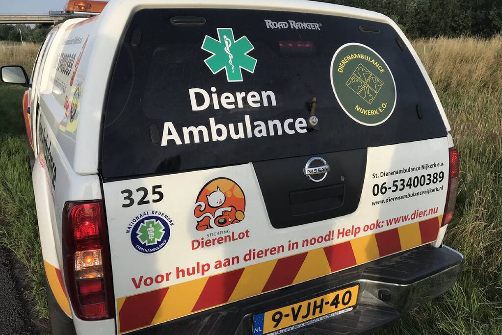 Familie Zwaan in de berm gehouden