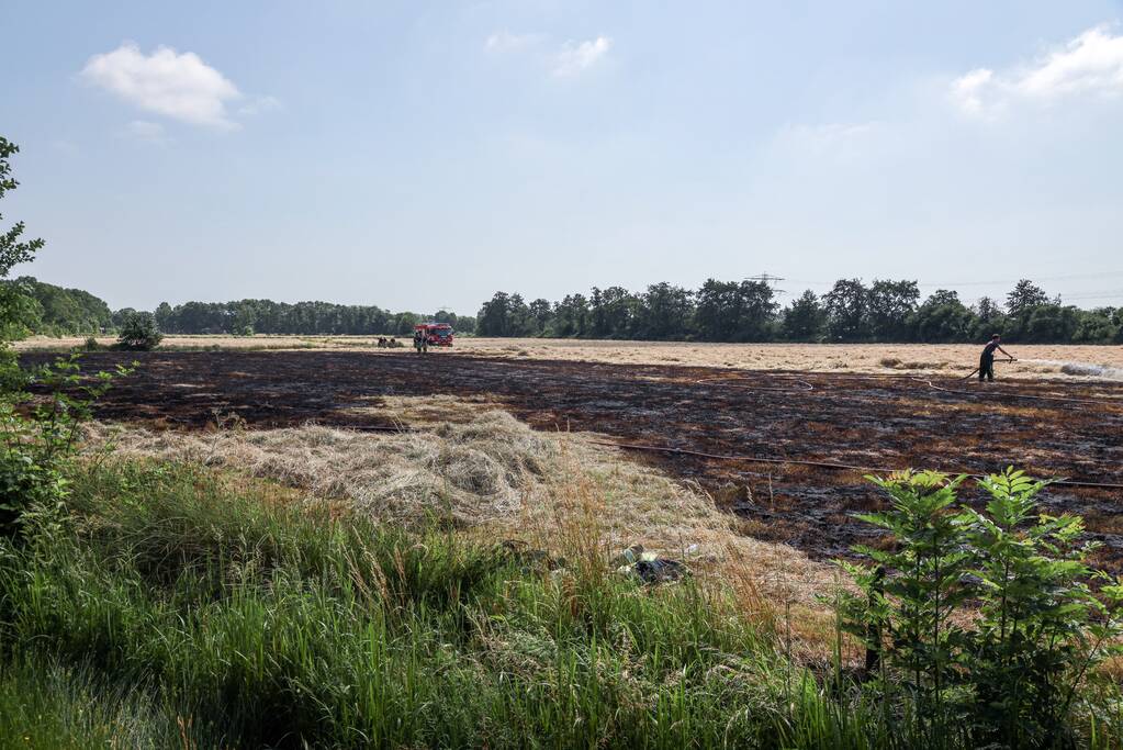 Meters grasland in brand