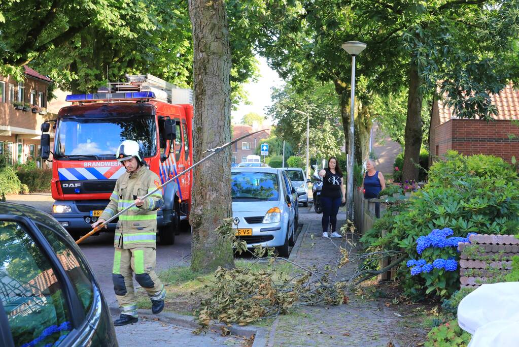 Los hangende takken verwijderd