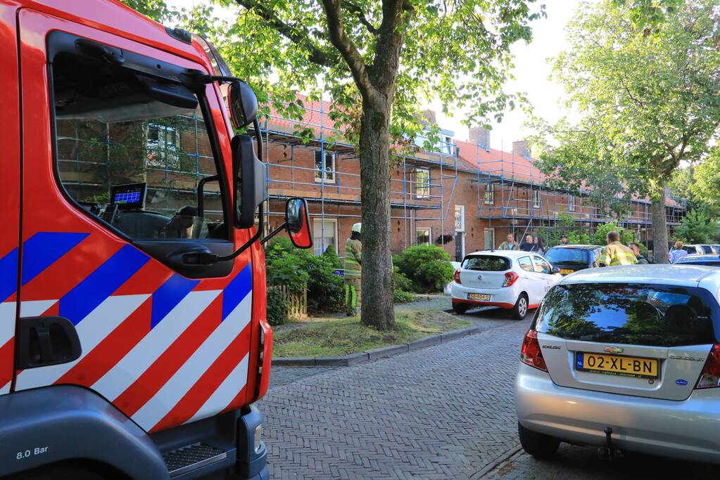 Los hangende takken verwijderd