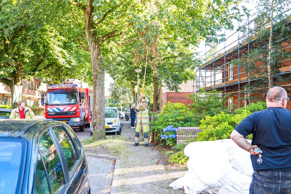 Los hangende takken verwijderd