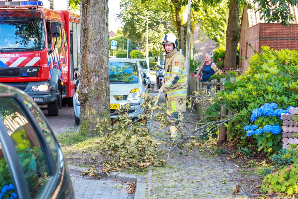 Los hangende takken verwijderd