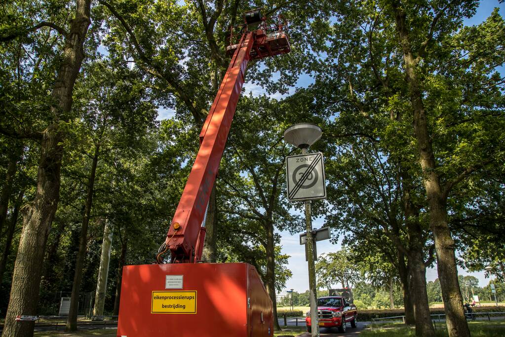 Bestrijders eikenprocessierups volop bezig