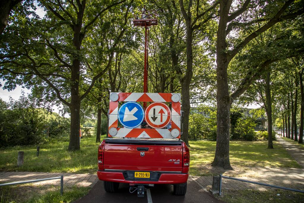 Bestrijders eikenprocessierups volop bezig