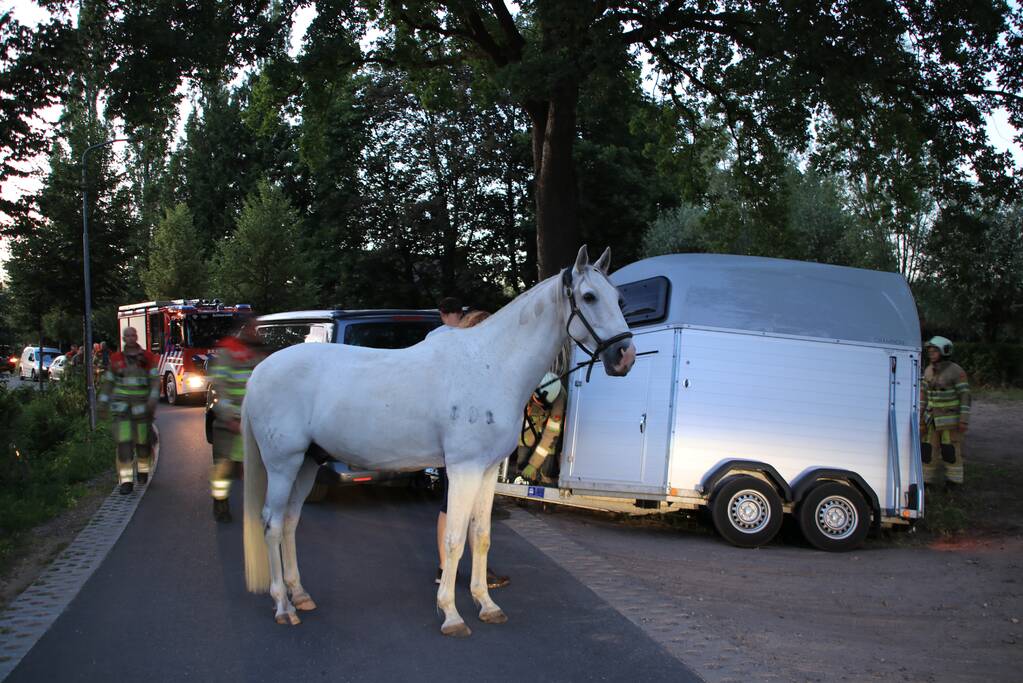 Paardentrailer met paarden belandt in de sloot