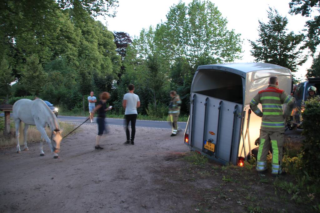 Paardentrailer met paarden belandt in de sloot