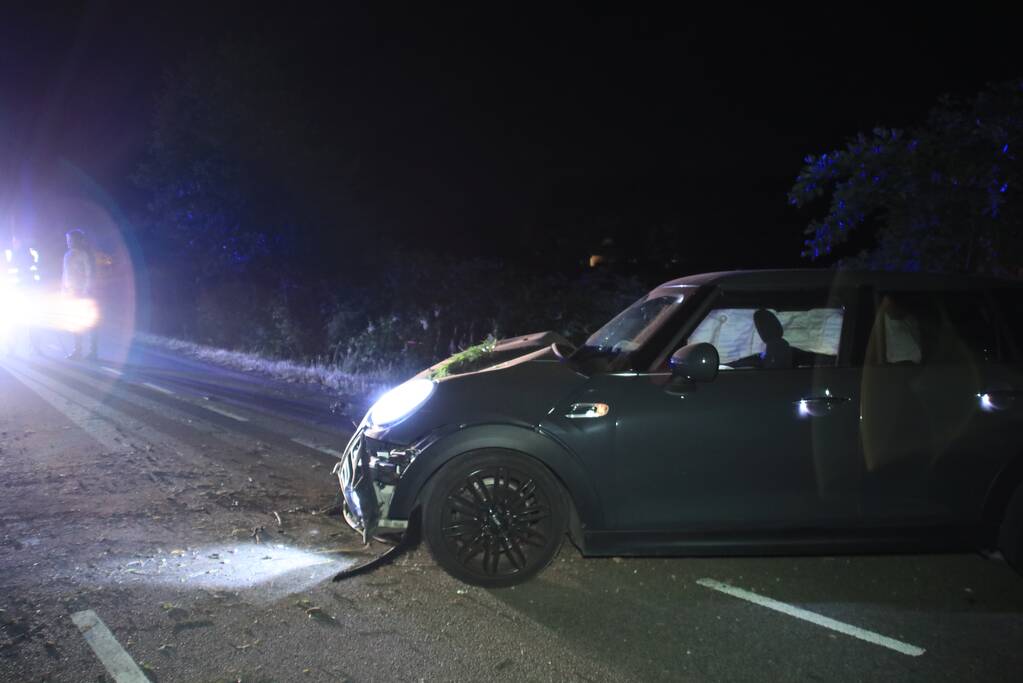 Bestuurder vlucht na crash