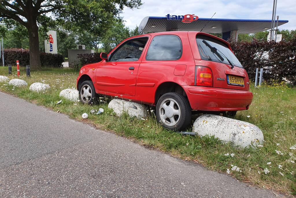 Auto belandt op varkensruggen
