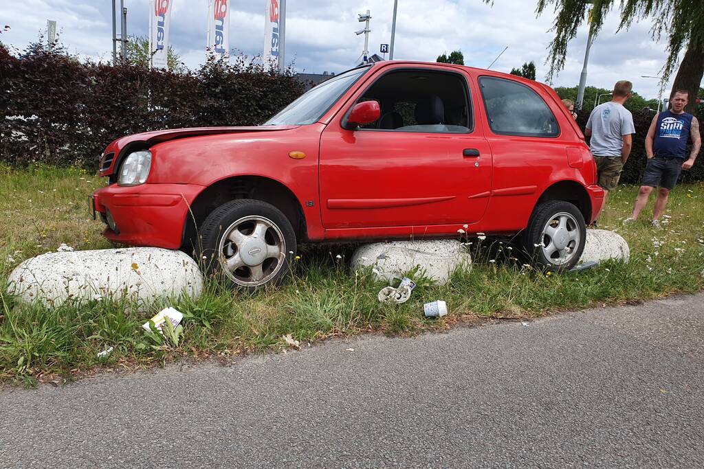 Auto belandt op varkensruggen