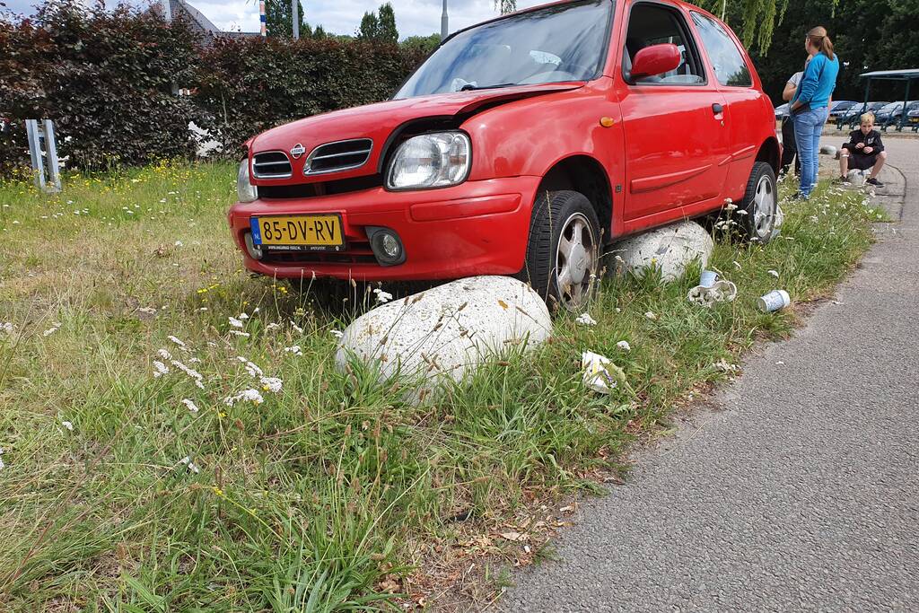 Auto belandt op varkensruggen