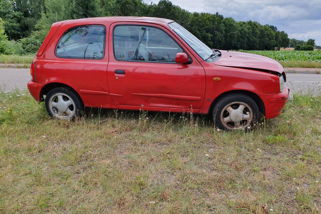 Auto belandt op varkensruggen
