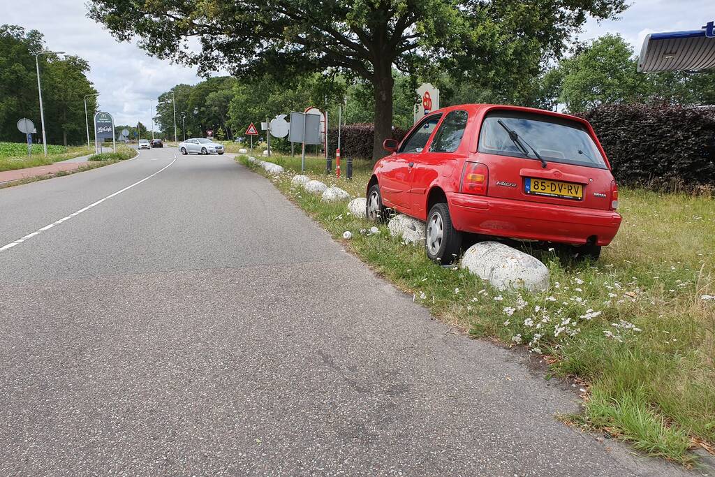 Auto belandt op varkensruggen