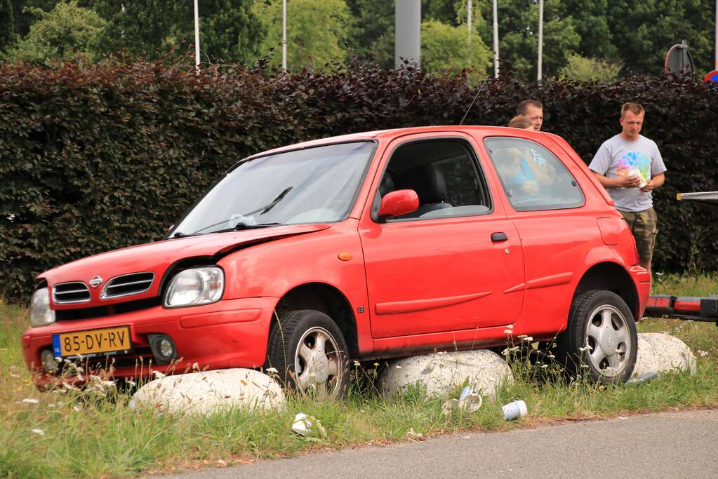Auto belandt op varkensruggen