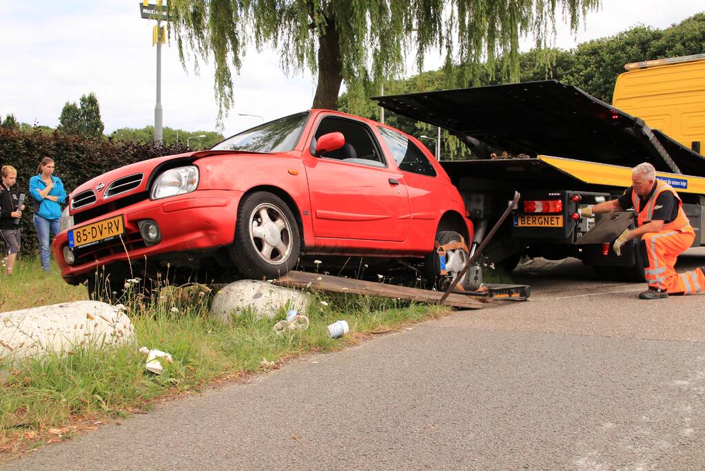 Auto belandt op varkensruggen